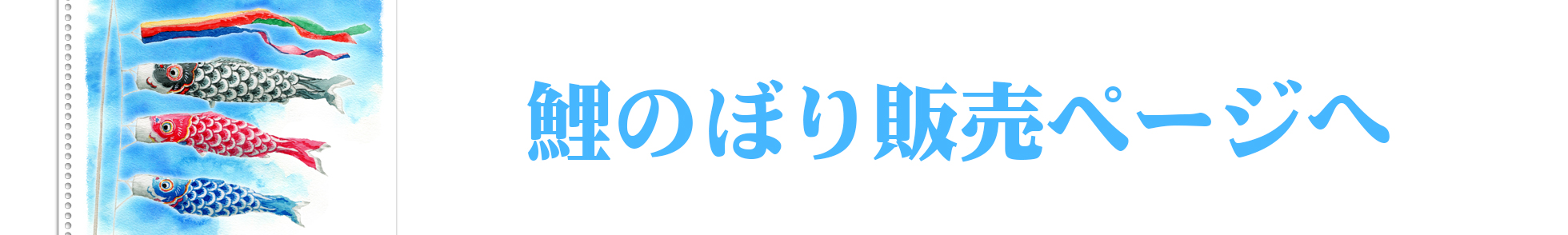 キャッツアイ　オンラインストア